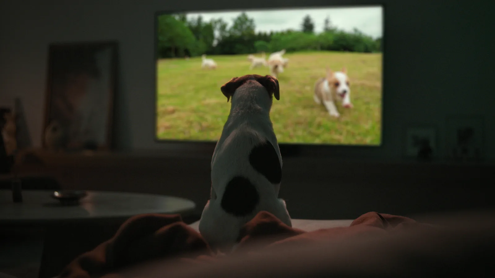 Still from Samsung Doing Less Means More